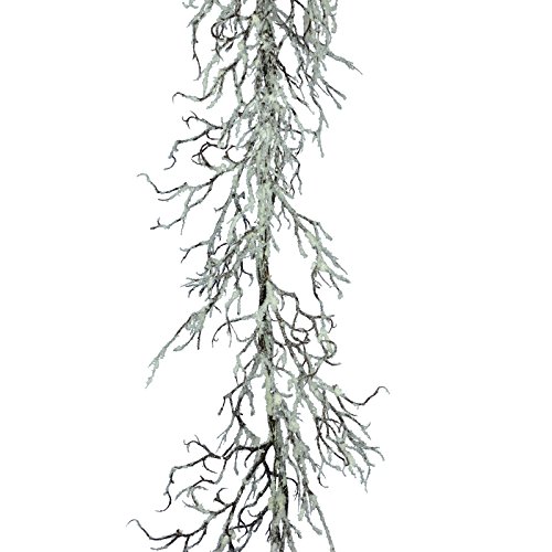 FloristryWarehouse bande de Guirlande Twig Marr...