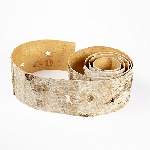 FloristryWarehouse bande de ruban écorce de bou...