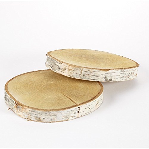 FloristryWarehouse bande de bouleau en bois Pel...