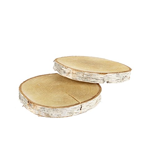 FloristryWarehouse bande de bois de bouleau Sli...