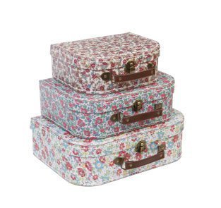 Sass & Belle Lot de 3 valises de rangement Moti...