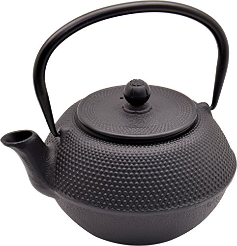 Théière japonaise Tetsubin cloutée en fonte d'A...