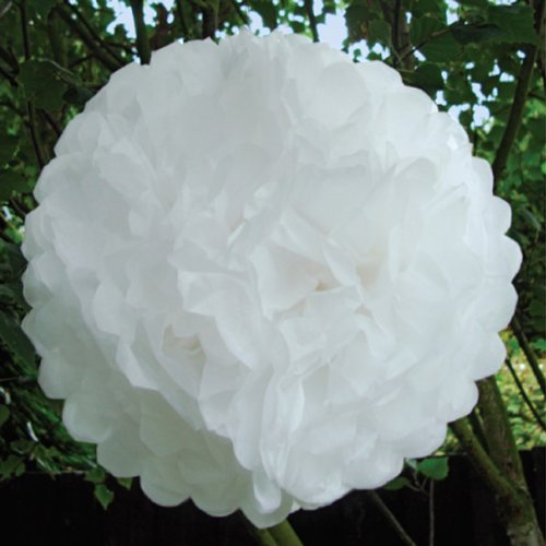 Papier boule de fleurs lot de 10pcs 10 pouces b...
