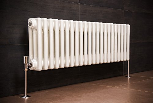 Radiateur eau chaude 836W - 300 x 1010 - Double...