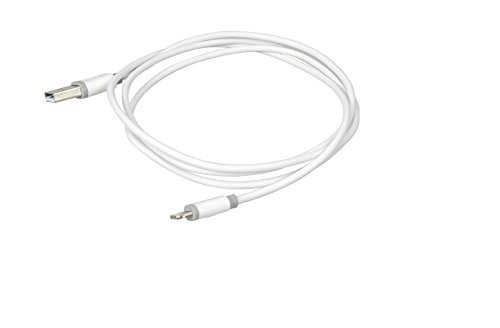 Nouveau Style et connecteur Lightning Certifié ...