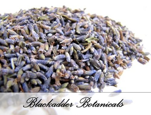 Daisy Gifts Ltd 1Kg Qualité Premium Fleurs de lavande (1Kg) code EAN 5055696404804 