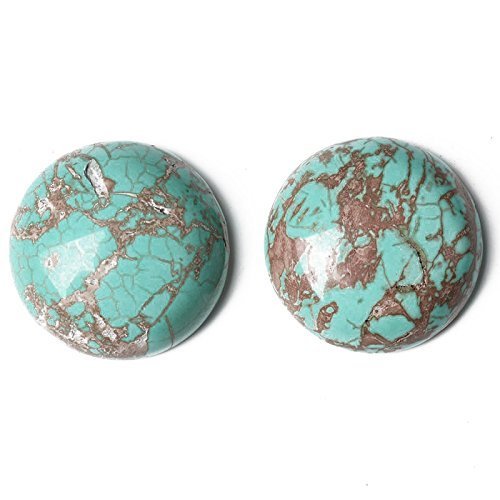 1 x Turquoise Magnésite 25mm Cabochon Rond Plat...