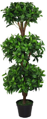 Le Geko 1-Pièce 120 cm seul arbre topiaire baie...