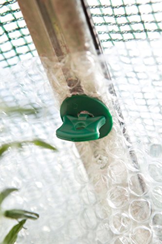 Super alli plugs pack de 50