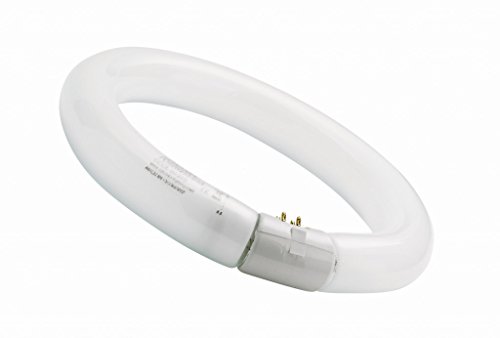 Sylvania T9 circulaire 22w cool white t9 code EAN 5057065177302 