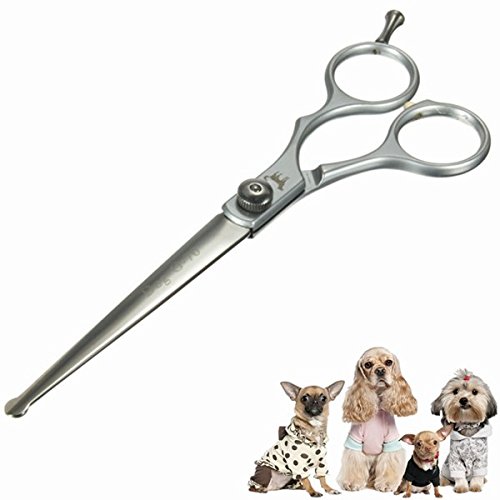 Petit Monde 17,8 cm professionnel pour chien ch...
