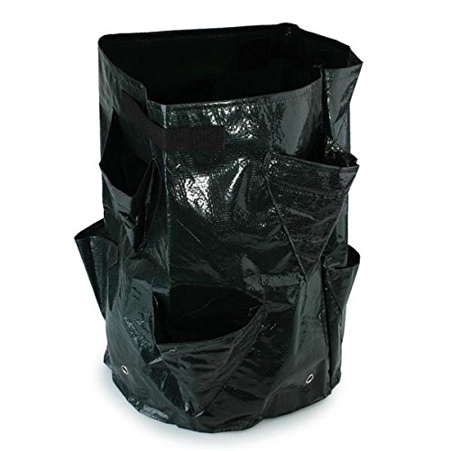 Bargain World Jardin huit rondes pe sacs de pla...