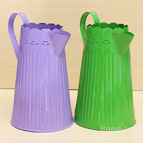 Bargain World fleur de fer mÃ©tallique arrosoir...