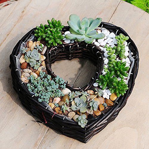 Bargain World Saule en forme de coeur fleur pan...