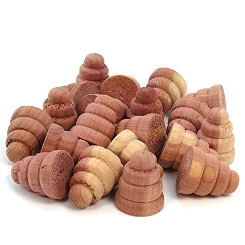 - lot de 20 cônes anti mites en bois de cèdre p...