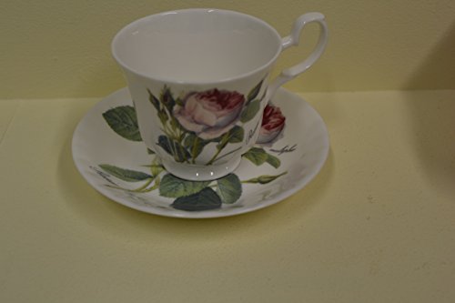 Redoute rose teacup & saucer in fine bone china...