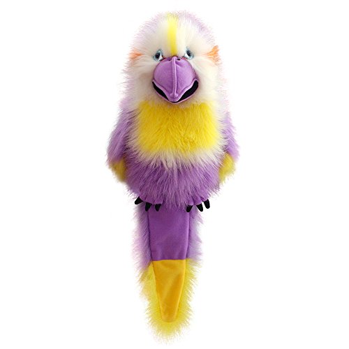 - bébés oiseaux - perruche