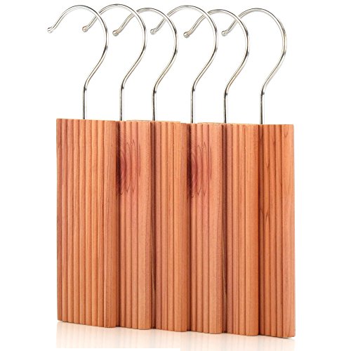 Lot de 12 blocs antimites en bois de cèdre à suspendre 5060316216187 Hangerworld