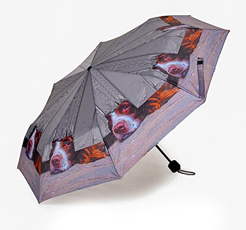 I Spy épagneul qualité Mini Parapluie pliant sa...