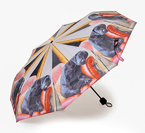 COUNTRY MATTERS Sleeping Labrador Quality Mini Folding Umbrella (Handbag Size) by COUNTRY MATTERS code EAN 5060343142756 