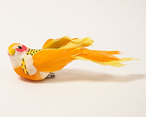 Tropical artificiel décoratif en plumes Oiseaux - Lot de 12 - Decor Événements 5060433235467 Decor Trader