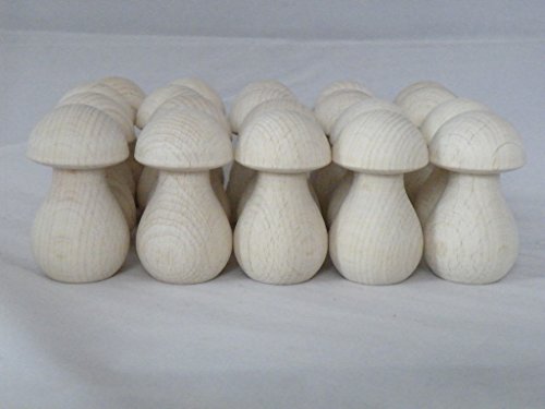 Mogokits Champignons en bois 50 mm Lot de 20 code EAN 5060444000290 