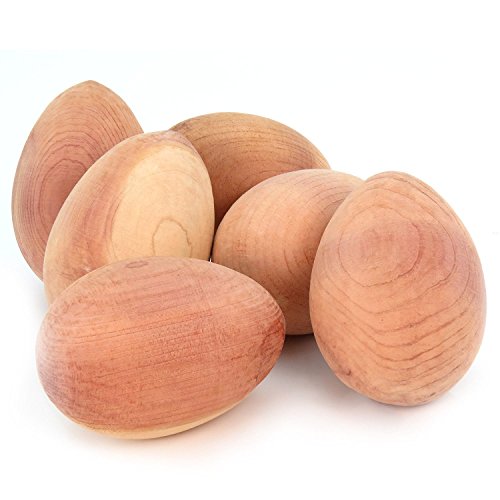 Lot de 6 grands œufs en bois de cèdre antimites 5060447063186 Hangerworld