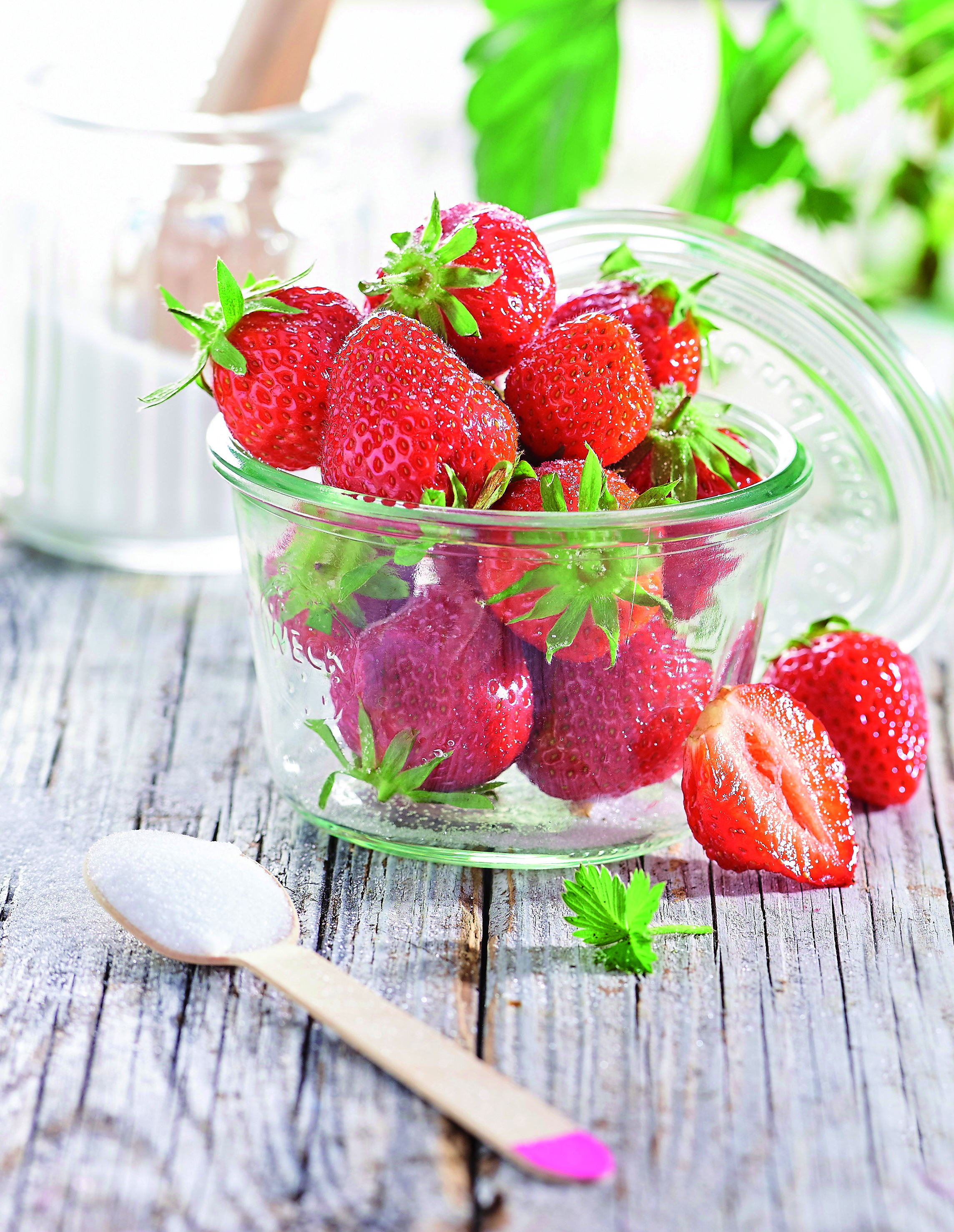  FRAISE RONDE code EAN 5125106510620 