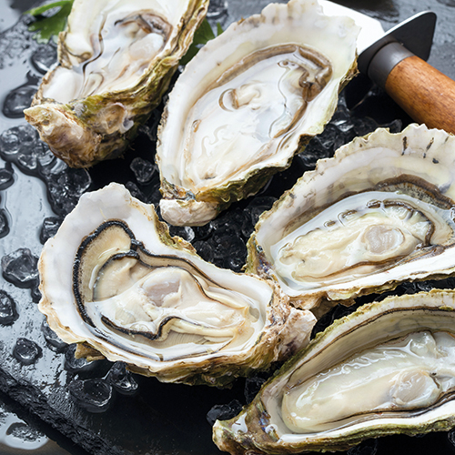 HUÎTRES CREUSES DE PAIMPOL 5228844 LA BELLE DE PAIMPOL