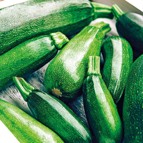 LES COMPÈRES COURGETTE code EAN 5369632 