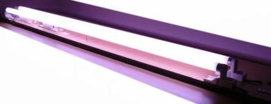 A3 2224 hue personnel sans fil lighting starter kit, verre, bleu, 3 x 3 x 1 cm code EAN 5410288022246 