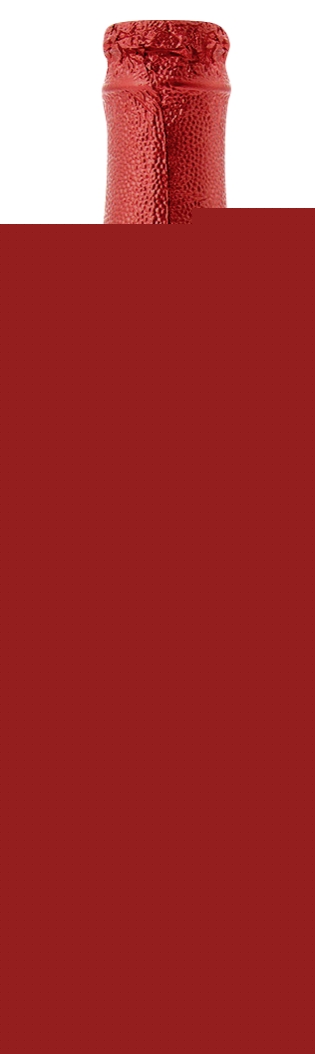 Foudroyante Bière kriek Foudroyante 5411223010823 (5411223010823)