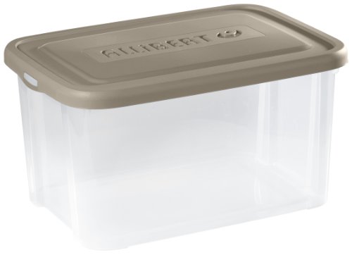 Allibert 211721 Handy Box 50 L avec Couvercle P...