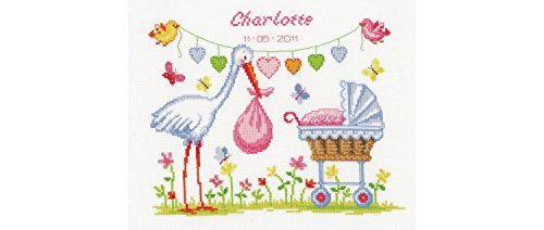 Kit point de croix compté, registre de naissanc...