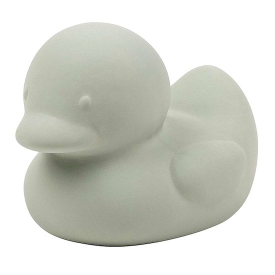  Nattou Canard caoutchouc Vert  code EAN 5414673202138 