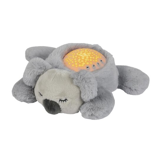  Nattou Veilleuse projecteur Koala Gris  code EAN 5414673875585 
