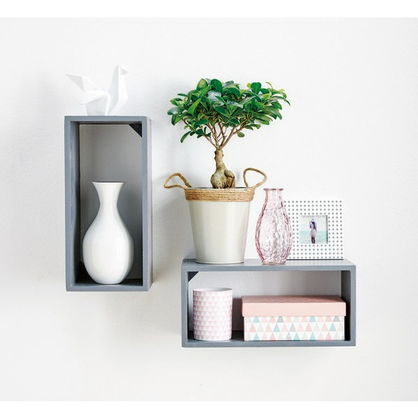 BONSAÏ FICUS GINSENG