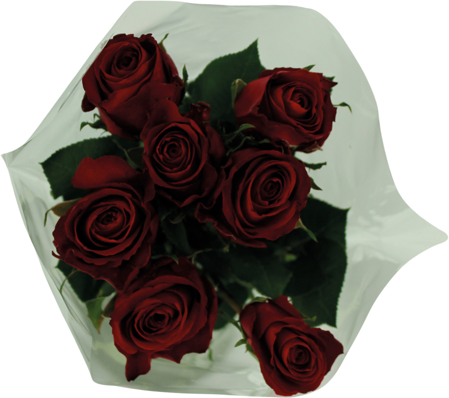  7 ROSES GROS BOUTON code EAN 5414707103387 