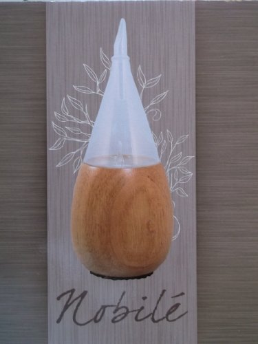 Pranarom - Diffuseur nobilé - 1 diffuseur huile...