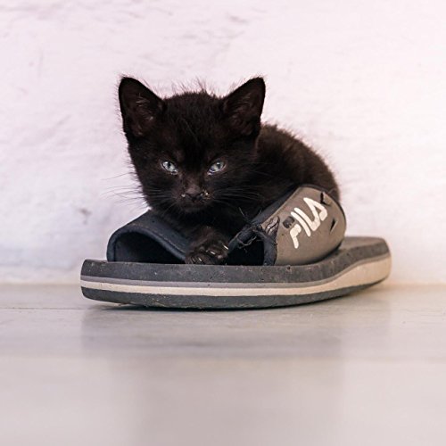 PLEIADES Pleiades W600 = Chauffage infrarouge Carbon Crystal - dernière technologie Radiateur - Ultra-Mince - mural - Image HD 600 Watt avec VOTRE PROPRE PHOTO FAVORI code EAN 5430000473163 