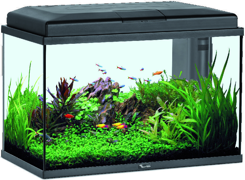 AQUARIUM ÉQUIPÉ “AQUASTART” 5607329088785 (5607329088785)