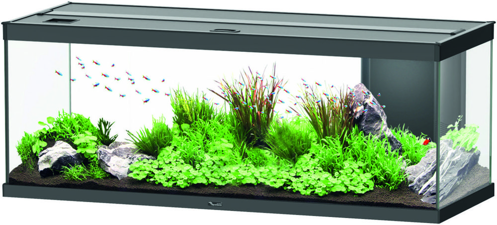 AQUARIUM STYLE LED 120 5607329123516 (5607329123516)
