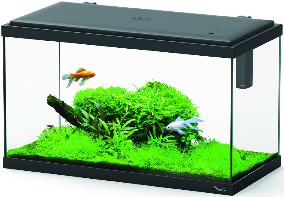 aquatlantis AQUARIUM “EXPLORER PARIS” 5607329141268 (5607329141268)