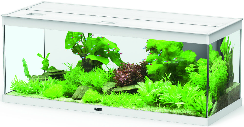 AQUARIUM ÉQUIPÉ “STYLE LED” 5607329150000 (5607329150000)