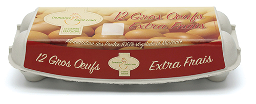 12 GROS ŒUFS EXTRA FRAIS