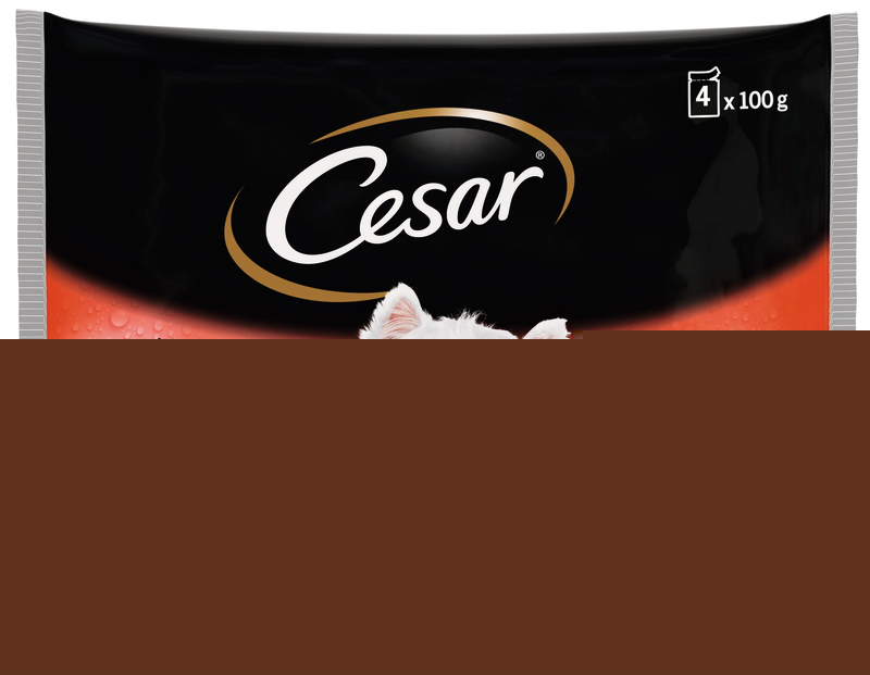 Repas pour petits chiens