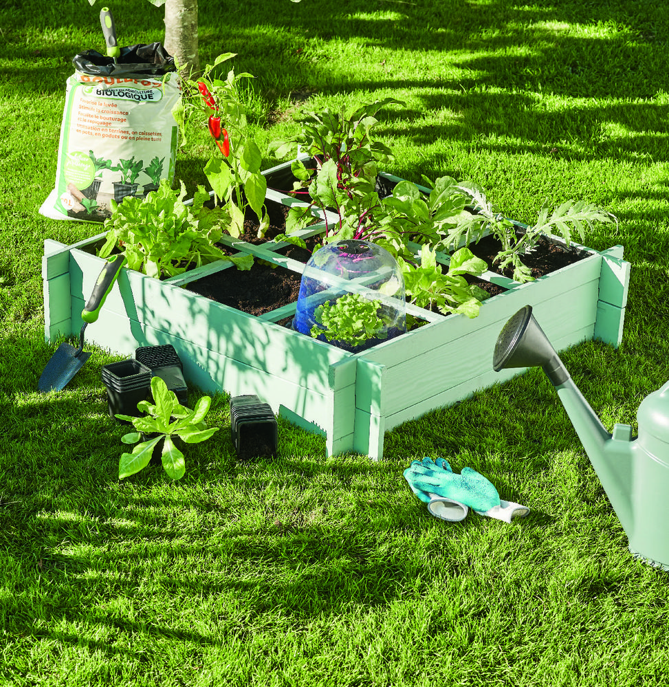 CARRÉ POTAGER COLORÉ 5906874996256 (5906874996256)