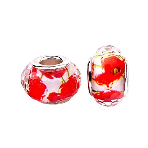 Bling étoiles Rouge Fleur lampwork perle en ver...