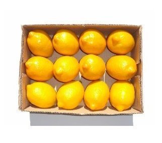 GODHL Artificiel citrons faux fruits maison décoration oeuvre jaune 6000118012333 (6000118012333)