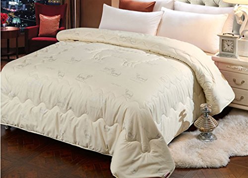 Couette d'hiver ( couleur : # 3 , taille : 220*...